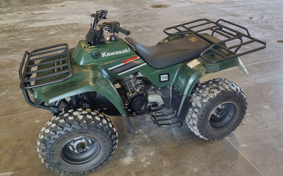 2008 Kawasaki Bayou